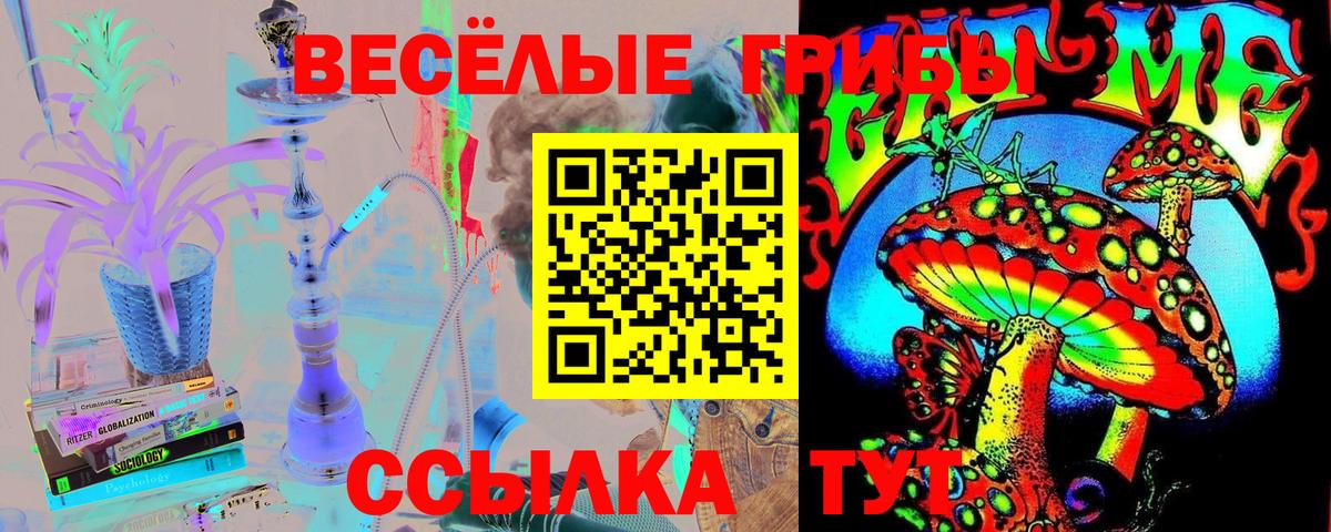 Псилоцибиновые грибы Psilocybe  Вход с VPN  где можно купить наркотик  Тверь  Галлюциногенные грибы прущие грибы 